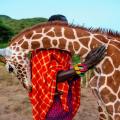 L'amour entre l'homme et l'animal - Tanzanie